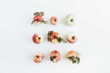 Elma beyaz arka plan üzerinde en az düzeyde kompozisyon. Düz yatıyordu, en iyi görünümü.