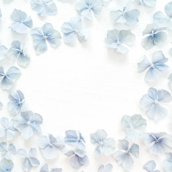 Круглая Рамка Лепестков Цветка Гортензии Плоский Лежал Вид Сверху Макияж — стоковое фото