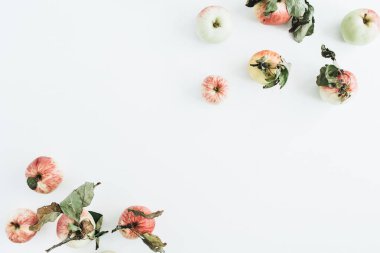 Sınır çerçeve beyaz arka plan üzerinde elma. Düz yatıyordu, en iyi görünümü gıda kavramı.