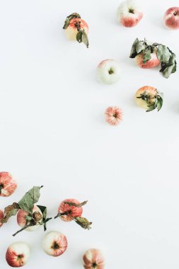 Sınır çerçeve beyaz arka plan üzerinde elma. Düz yatıyordu, en iyi görünümü sağlıklı kavramı.