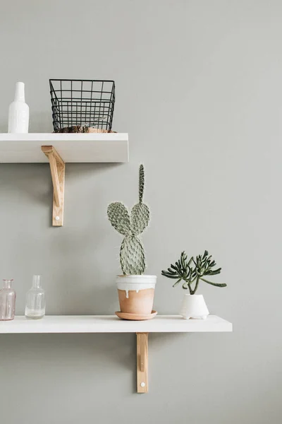 Pastel Concepto Diseño Interiores Con Plantas Caseras — Foto de Stock