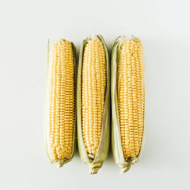 Beyaz arka plan üzerinde Mısır kulakları. Düz yatıyordu, en iyi görünümü.