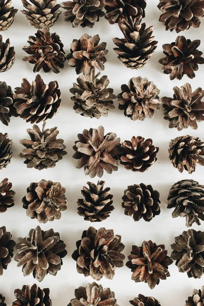 소나무 패턴의의 — 스톡 사진