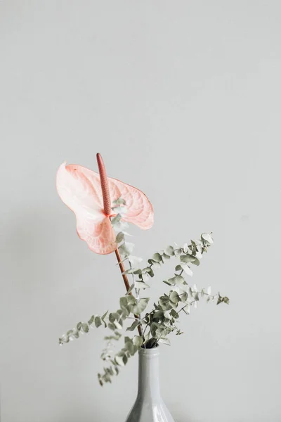 파스텔 바탕에 꽃병에 분기의 꽃다발 플로리스트 — 스톡 사진