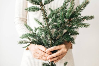 Köknar dalı kadın elinde. Kış / yeni yıl / yılbaşı konsept.