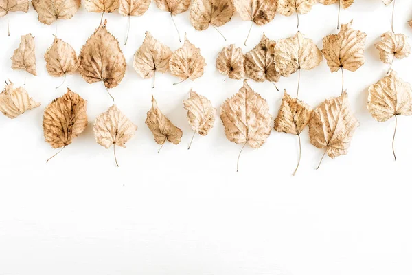 Fall / autumn leaves on white background. Flat lay, top view minimal composition.