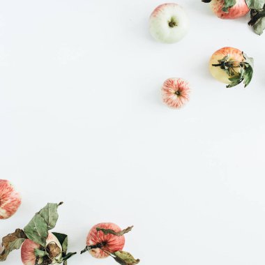 Sınır çerçeve beyaz arka plan üzerinde elma. Düz yatıyordu, en iyi görünümü beslenme kavramı.