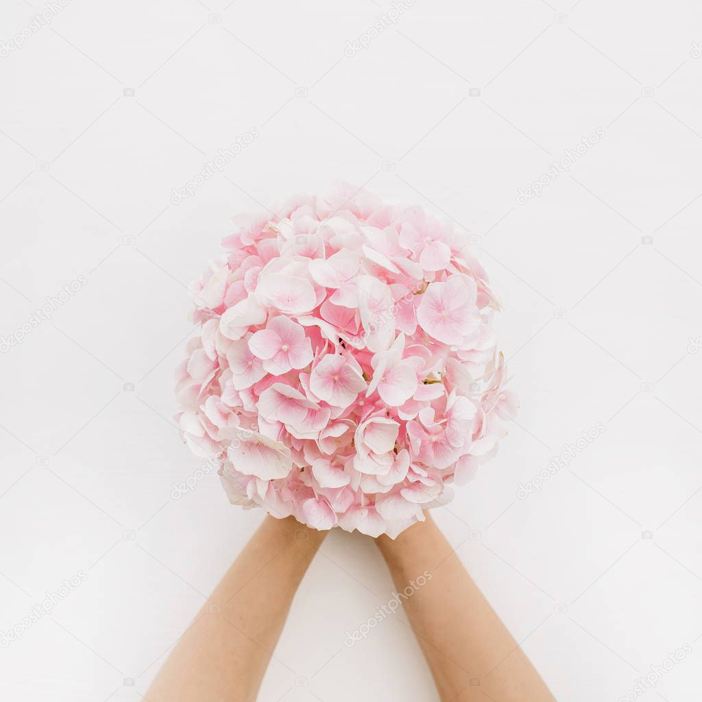 Woman hands hold pink hydrangea flower bouquet on white background. Flat lay, top view floral concept.