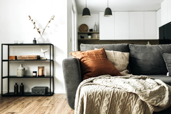 Moderne Skandinavische Innenarchitektur Helles Wohnzimmer Mit Gemütlicher Couch Strickkarierten Ingwerkissen — Stockfoto