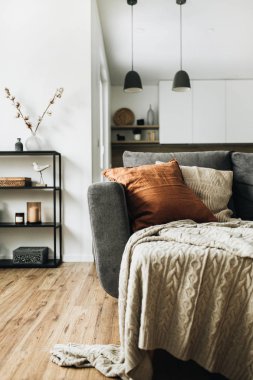 Modern İskandinav İskandinav iç tasarım. Parlak alan oturma odası örme şal, zencefil yastık, mutfak, ahşap zemin rahat kanepe ile açın. Zarif daire için kira kavramı.