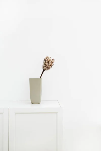 白いタンスの上に花瓶のプロテアの花 — ストック写真