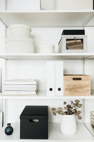 Modern home office cabinet interior design concept. Storage shelves with boxes, eucalyptus, decorations.