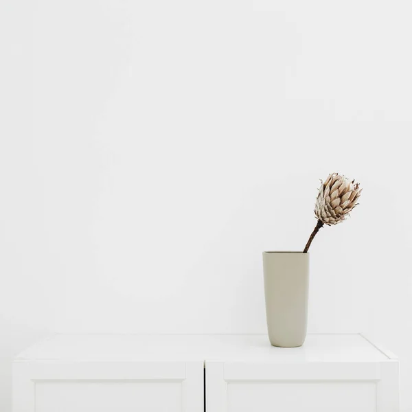 Protea Flower Vase White Chest Drawers — Stock Photo, Image