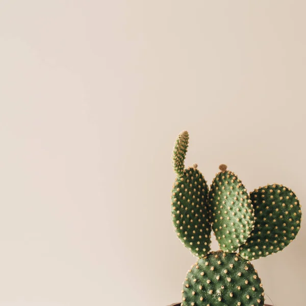 Featured image of post Neutral Minimalist Beige Desktop Wallpaper : Choose from hundreds of free minimalist wallpapers.