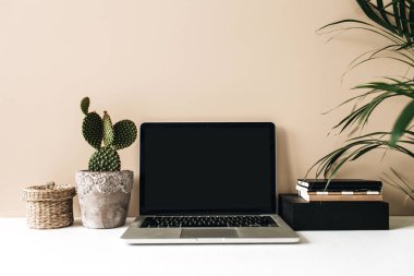 Dizüstü bilgisayar, kaktüs ve bej arka planda palmiye ile minimalist ev ofis masası çalışma alanı. Ön görünüm kopya alanı boş alay. Blog, web sitesi, sosyal medya kahraman başlık şablonu.