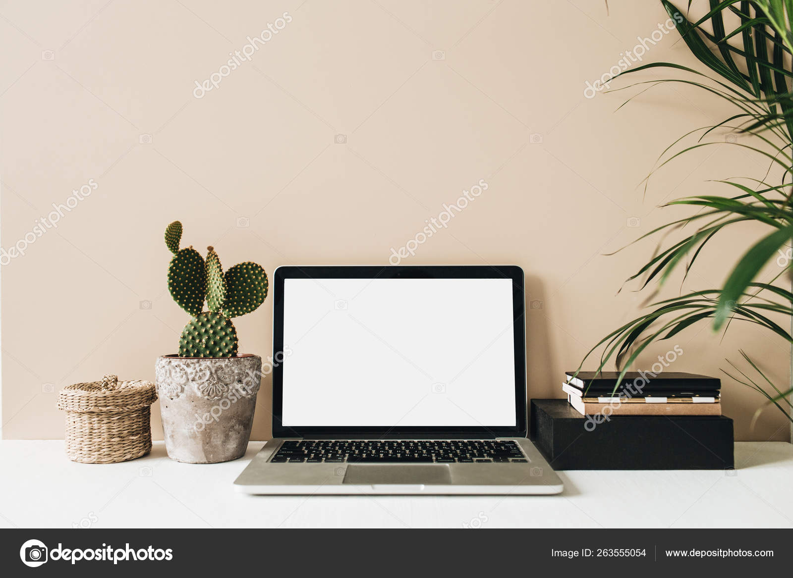 Minimalist Home Office Desk Workspace Laptop Cactus Palm Beige