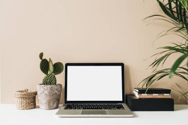 Dizüstü bilgisayar, kaktüs, bej arka planda palmiye ile minimalist ev ofis masası çalışma alanı. Ön görünüm kopya alanı boş alay. Freelancer iş şablonu.