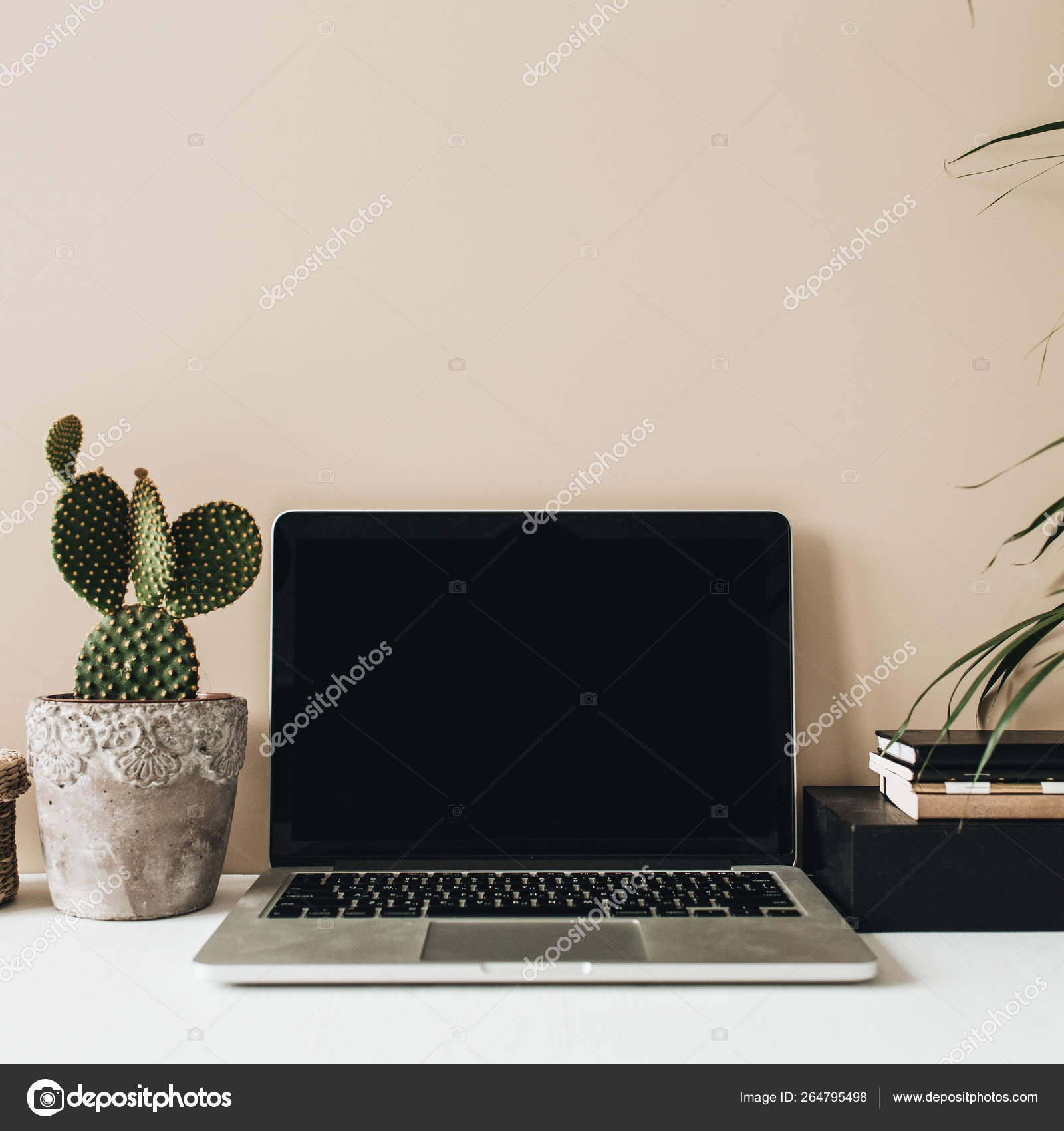 Minimalist Home Office Desk Workspace Laptop Cactus Palm Beige