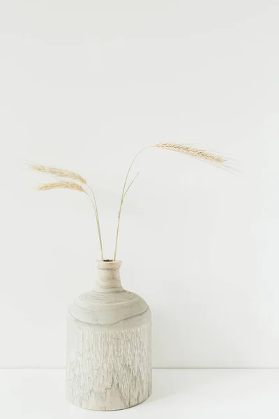 Wheat spikes bouquet in wooden vase on white background. Minimal floral composition.