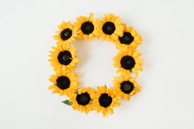 Beyaz arka planda kopya alanı ile ayçiçeği yapılmış çelenk çerçevesi. Düz yatıyordu, üst görünüm yaz çiçek Mock kadar şablon.