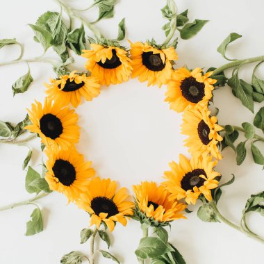 Beyaz arka planda ayçiçeği çelenk çerçevesi. Düz yatıyordu, üst görünüm yaz çiçek mockup şablonu.