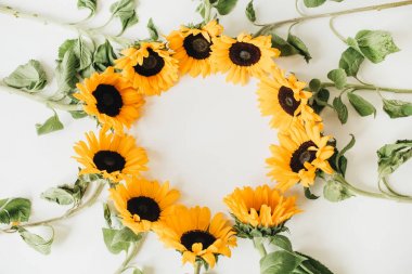 Beyaz arka planda kopya alanı ile ayçiçeği yapılmış çelenk çerçevesi. Düz yatıyordu, üst görünüm yaz çiçek Mock kadar şablon.