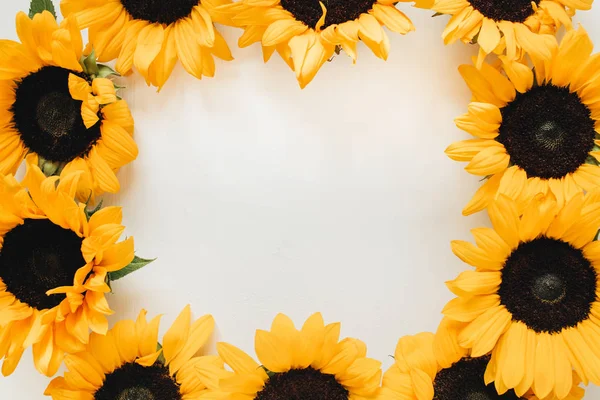 Kranzrahmen Aus Sonnenblumen Auf Weißem Hintergrund Flache Lage Ansicht Von — Stockfoto