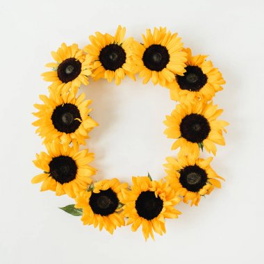 Beyaz arka planda kopya alanı ile ayçiçeği yapılmış çelenk çerçevesi. Düz yatıyordu, üst görünüm yaz çiçek Mock kadar şablon.