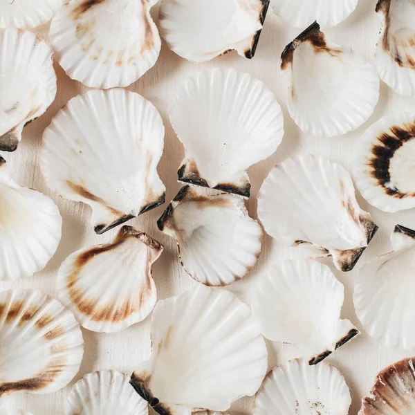 Sea shells pattern on white background. Flat lay, top view minimal marine texture.