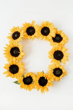 Beyaz arka planda ayçiçeği çelenk çerçevesi. Düz yatıyordu, üst görünüm yaz çiçek mockup şablonu.