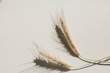 Beyaz arka planda çavdar dikenleri. Düz lay, üst görünümü organik sağlıklı vejetaryen gıda kavramı.