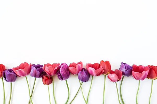 Цветочная Композиция Красочными Цветами Тюльпана Белом Фоне Плоская Вид Сверху — стоковое фото