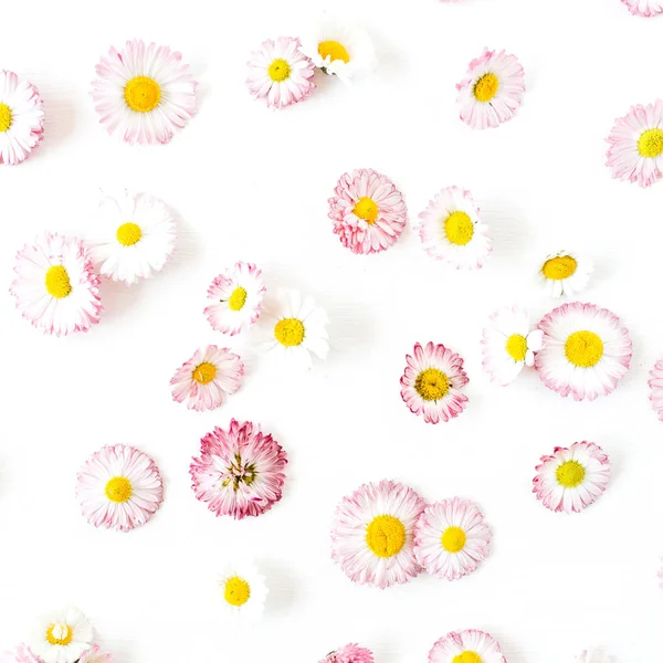 花卉组合与菊花花蕾在白色背景 顶视图花店博客英雄头 夏季开花模式 — 图库照片