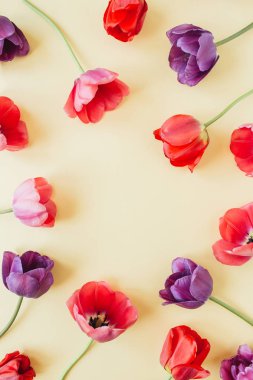 Yuvarlak çelenk çerçeve kopyalama alanı kadar alay. Lale çiçekleri arka plan. Düz yatıyordu, en iyi manzara çiçekli yaz konsepti.