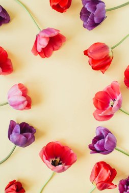 Yuvarlak çelenk çerçeve kopyalama alanı şablonu. Sarı arka planda renkli lale çiçekleri. Düz yatıyordu, üst görünüm minimal çiçek kompozisyonu.