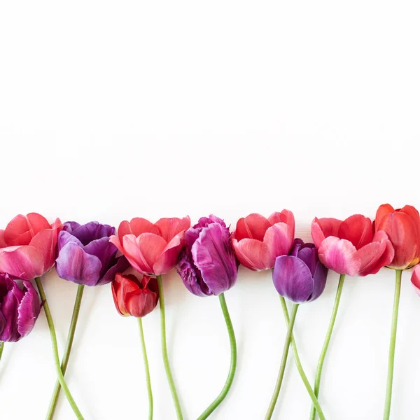 Fleurs Tulipes Colorées Sur Fond Blanc Pose Plate Vue Dessus — Photo