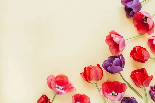 Bunte Tulpenblumen Auf Pastellfarbenem Hintergrund Flache Lage Draufsicht Minimale Sommerliche — Stockfoto