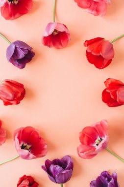 Yuvarlak çelenk çerçeve kopyalama alanı kadar alay. Yaşayan mercan arka planda lale çiçekleri. Düz yatıyordu, en iyi manzara çiçekli yaz konsepti.