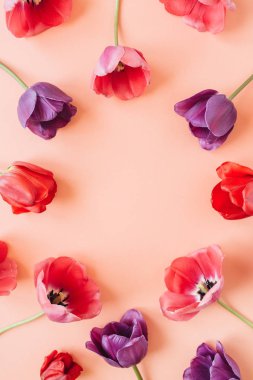 Yuvarlak çelenk çerçeve kopyalama alanı kadar alay. Yaşayan mercan arka planda lale çiçekleri. Düz yatıyordu, en iyi manzara çiçekli yaz konsepti.