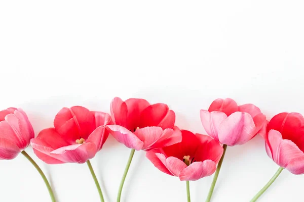 Composition Florale Avec Des Fleurs Tulipes Colorées Sur Fond Blanc — Photo