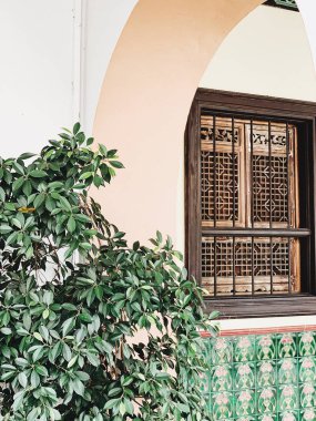 Kemer, pencere ve büyük yeşil gür ile güzel eski bina. Phuket, Tayland'ın eski bir şehri.