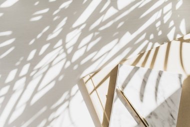 Tesis gölgesi ile beyaz arka plan üzerinde dizüstü bilgisayar ile Home ofis çalışma alanı arka plan. Düz yatıyordu, üst görünümü minimal şık bayan patron iş yaşam tarzı kavramı.