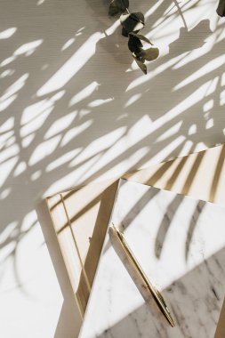 Bitki gölgesi ile beyaz arka plan üzerinde dizüstü bilgisayar, okaliptüs ve mum ile Home ofis çalışma alanı arka plan. Düz yatıyordu, üst görünümü minimal bayan patron yaşam tarzı kavramı.