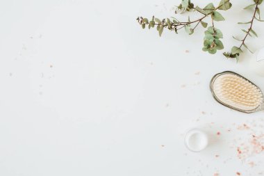 Fotokopi alanı ile Sağlık spa konsepti okaliptüs, saç fırçası, beyaz arka plan üzerinde krem ile alay. Düz lay, üst görünüm güzellik yaşam tarzı cilt bakım kompozisyon.