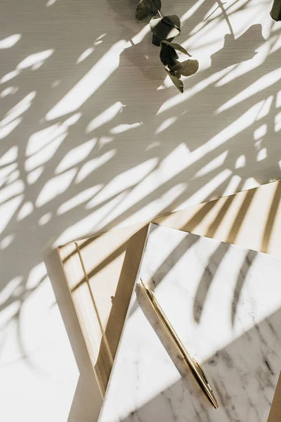 Bitki gölgesi ile beyaz arka plan üzerinde dizüstü bilgisayar, okaliptüs ve mum ile Home ofis çalışma alanı arka plan. Düz yatıyordu, üst görünümü minimal bayan patron yaşam tarzı kavramı.