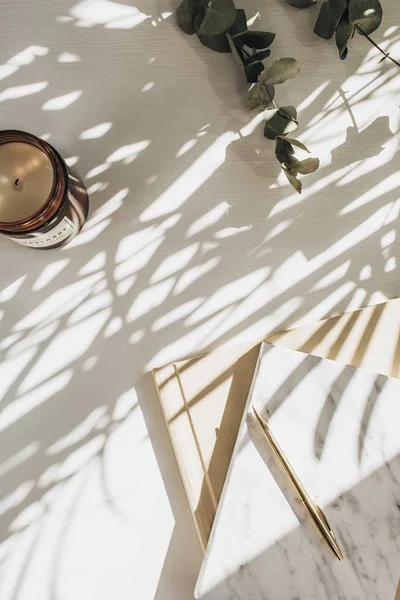 Bitki gölgesi ile beyaz arka plan üzerinde dizüstü bilgisayar, okaliptüs ve mum ile Home ofis çalışma alanı arka plan. Düz yatıyordu, üst görünümü minimal şık bayan patron iş yaşam tarzı kavramı.