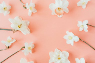 Yuvarlak çelenk çerçeve kopyalama alanı kadar alay. Yaşayan mercan arka plan üzerinde Nergis çiçekleri. Düz yatıyordu, en iyi manzara çiçekli yaz konsepti.