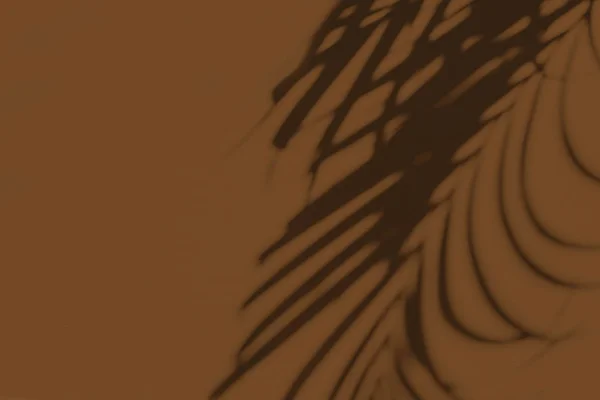 Neutral Blomster Komposition Med Tropisk Palm Filial Silhuett Mörkbrun Bakgrund — Stockfoto
