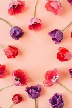 Yuvarlak çelenk çerçeve kopyalama alanı kadar alay. Lale çiçekleri arka plan. Düz yatıyordu, en iyi manzara çiçekli yaz konsepti.