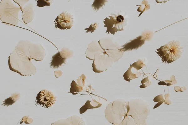 Dry flower petals pattern on dusty grey background. Flat lay, top view minimal neutral floral composition.